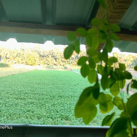 Ocean Sparrow Beach Stay Gokarna  Oda fotoğraf