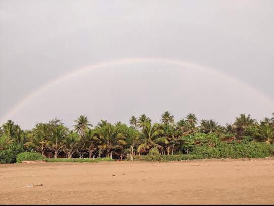 Ocean Sparrow Beach Stay Gokarna  Oda fotoğraf